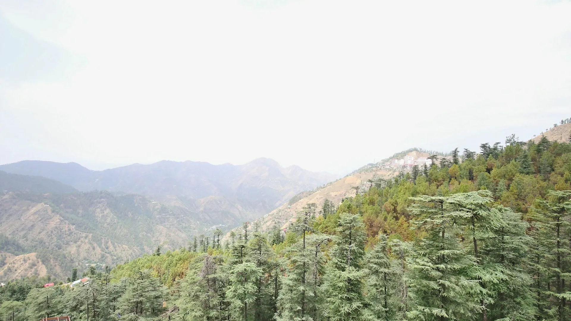 Apartment Oyo 13921 Home Valley View Near Kamyana Shimla